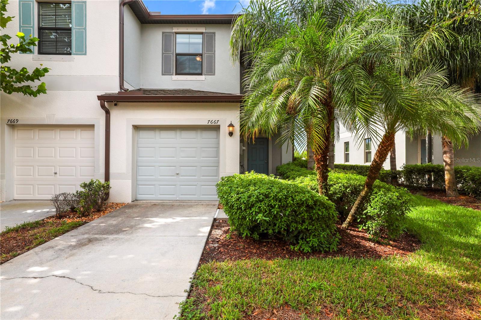 7667 Ginger Lily, Tampa, FL 33619