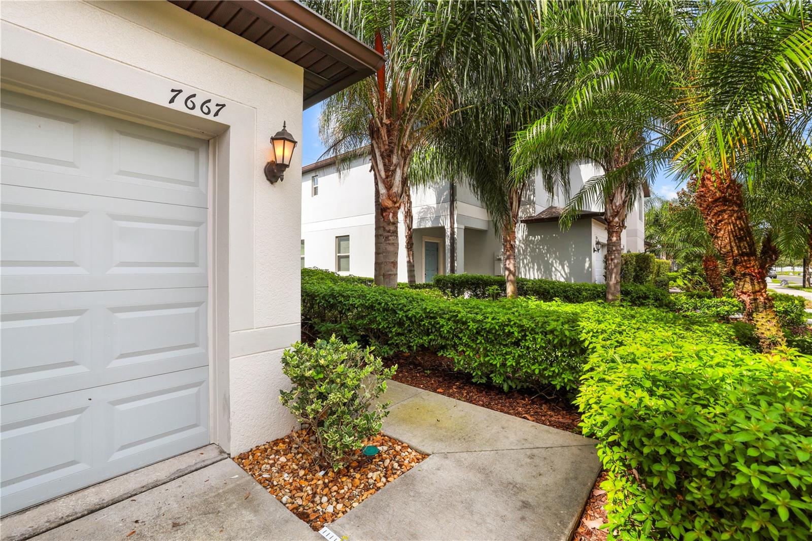 7667 Ginger Lily, Tampa, FL 33619