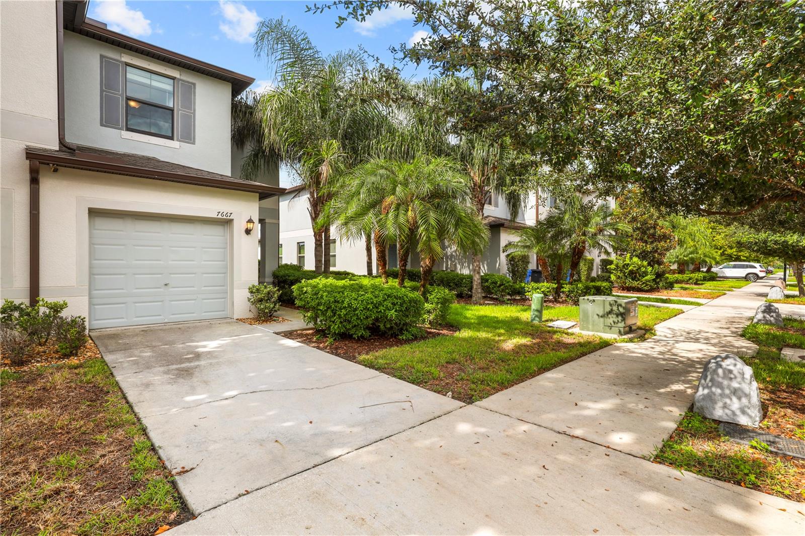 7667 Ginger Lily, Tampa, FL 33619