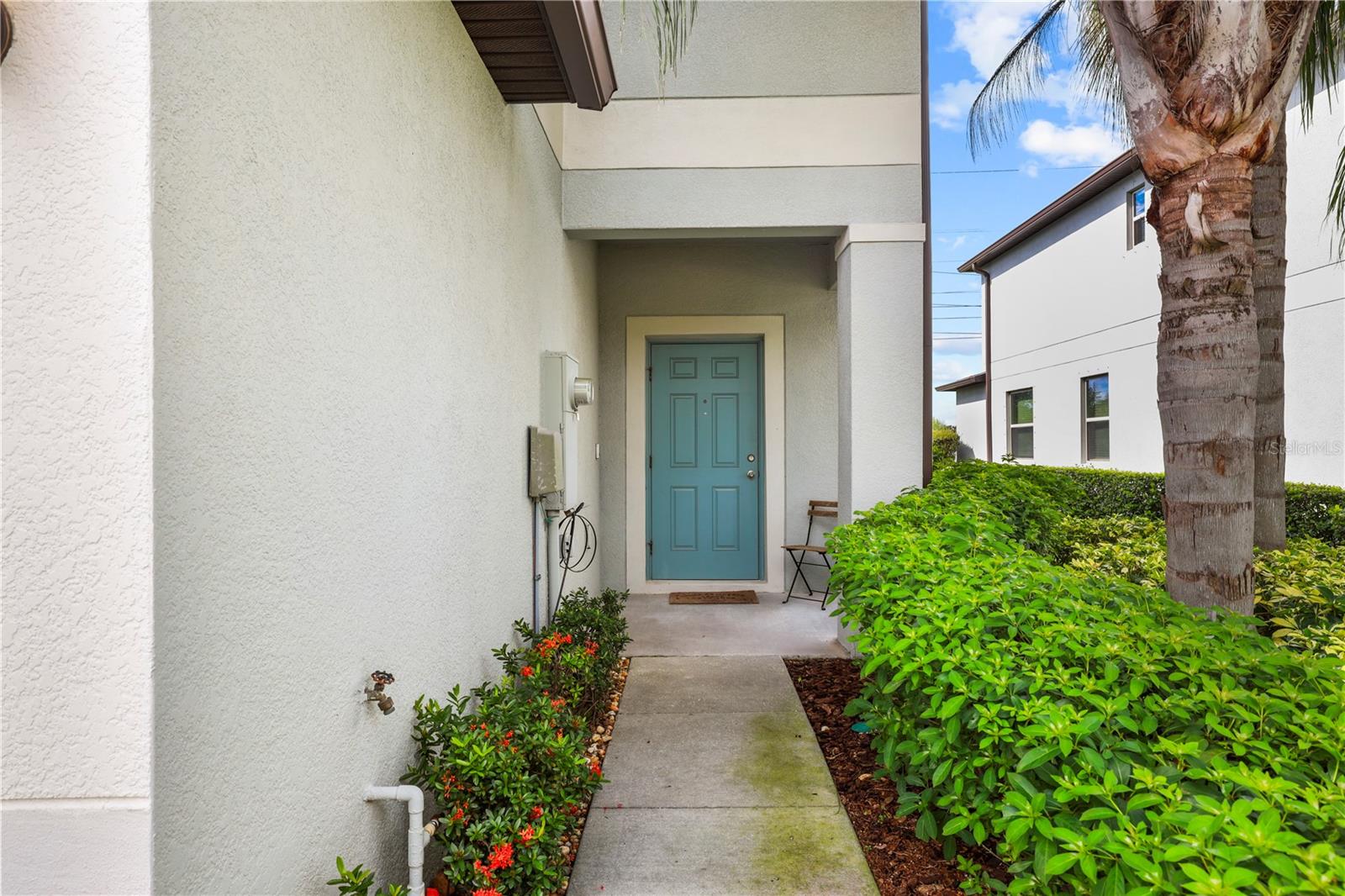 7667 Ginger Lily, Tampa, FL 33619