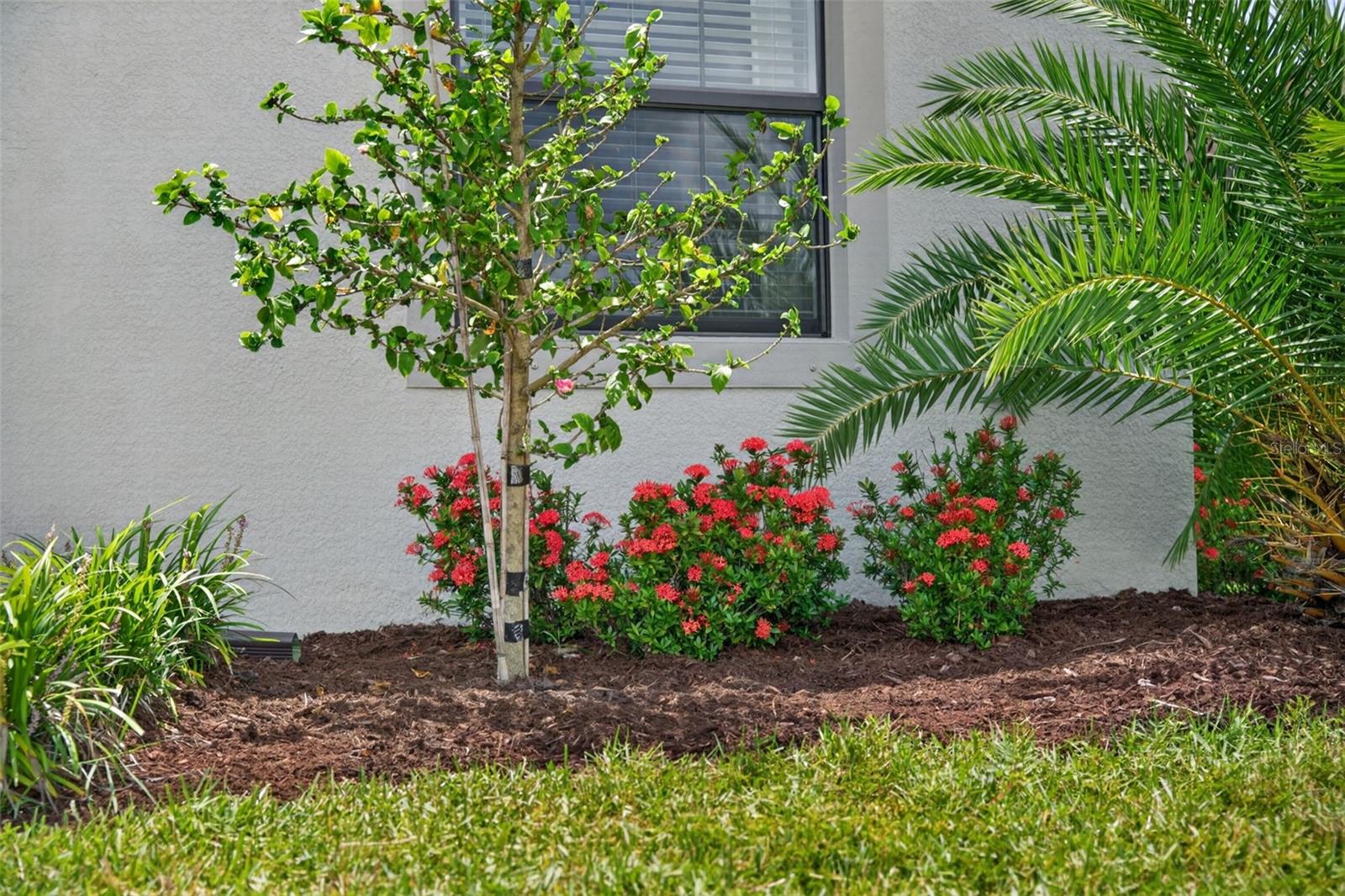 15126 Misty Water, Bradenton, FL 34211