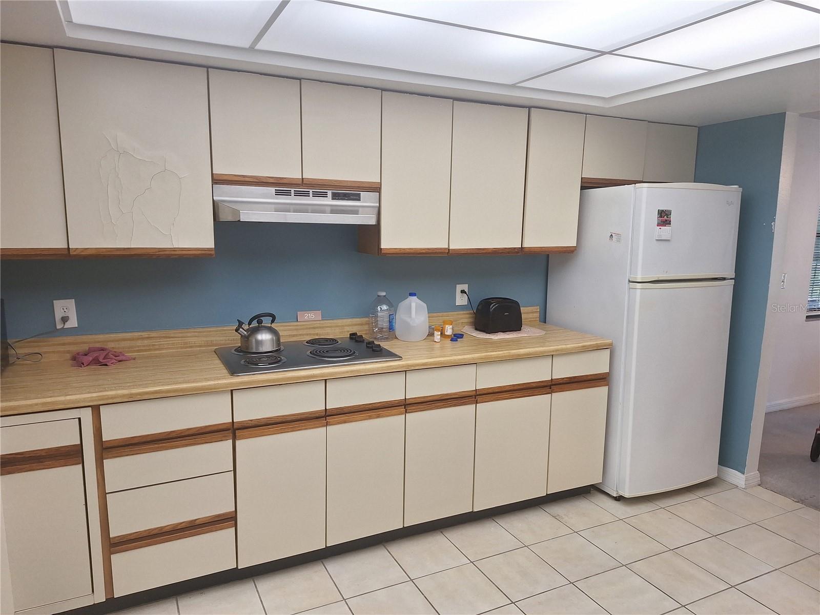504 Florida Unit 215, Tarpon Springs, FL 34689