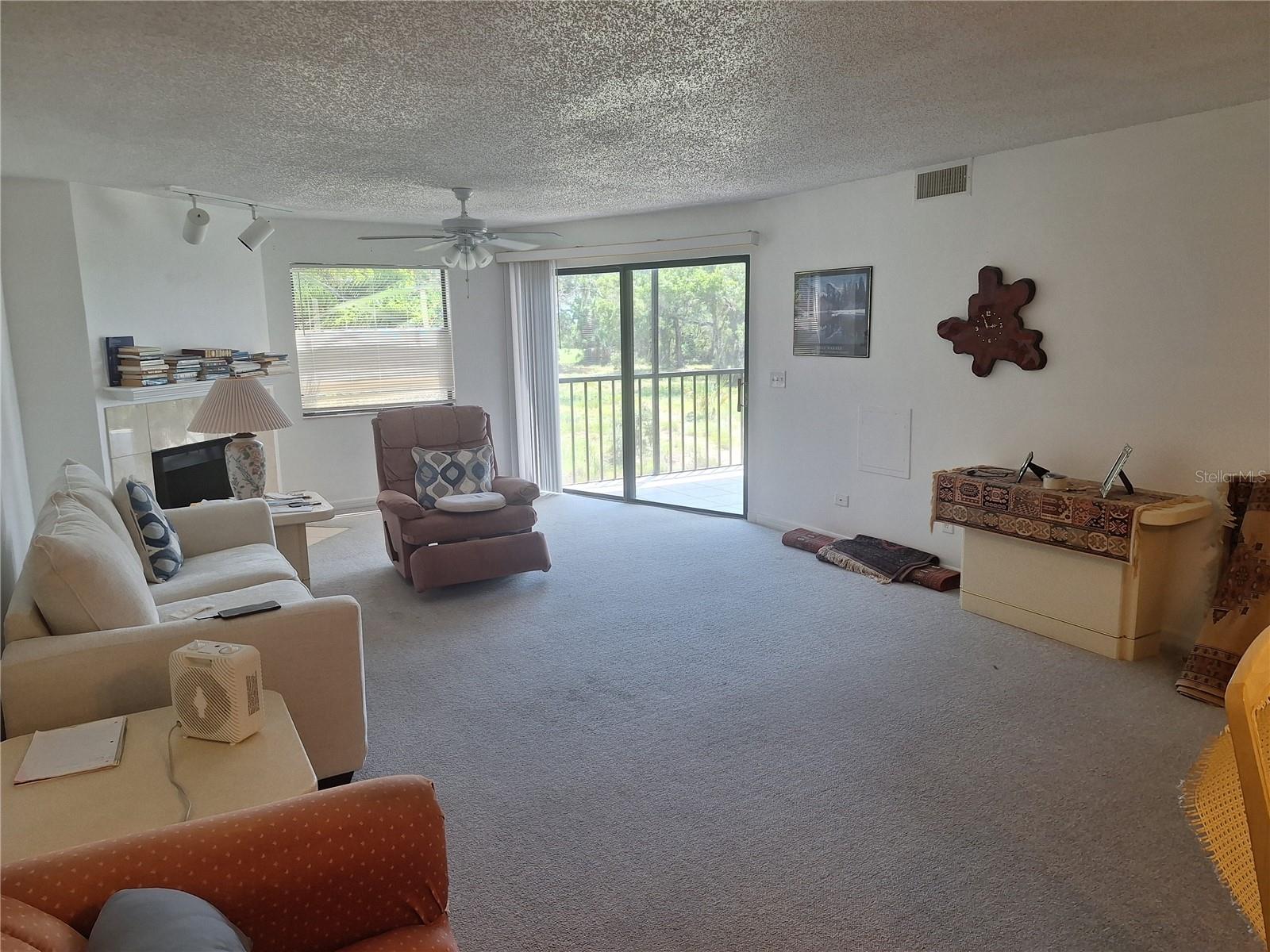 504 Florida Unit 215, Tarpon Springs, FL 34689