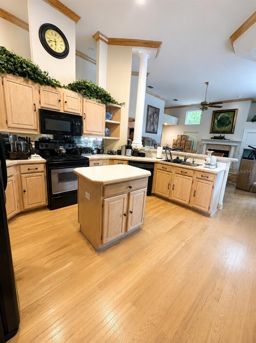 995 Weathersfield, Dunedin, FL 34698