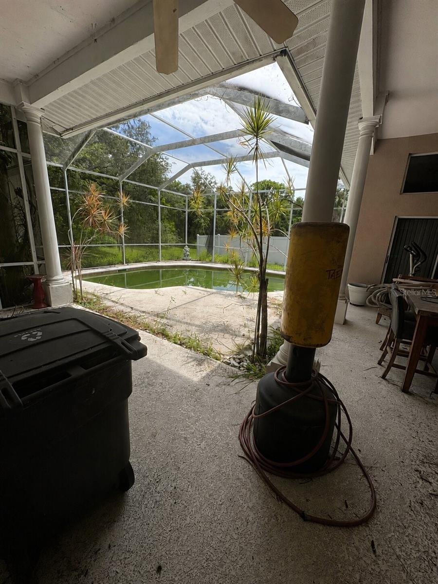995 Weathersfield, Dunedin, FL 34698
