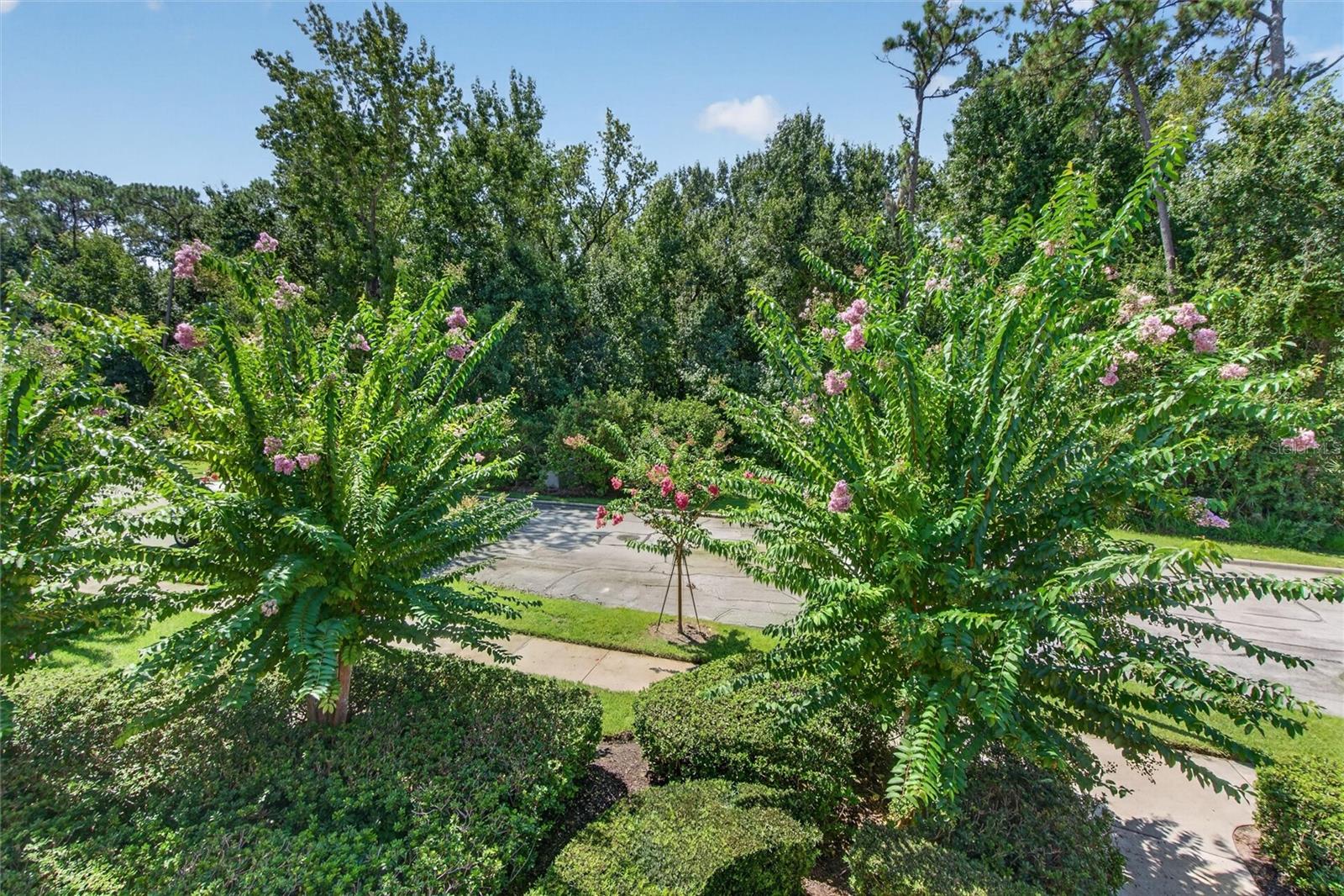 760 Centervale Unit 201, Celebration, FL 34747