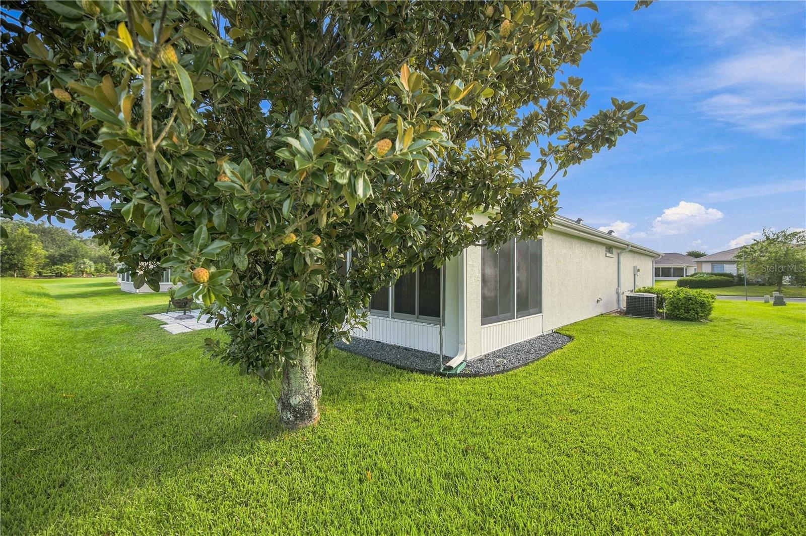 13827 85th, Summerfield, FL 34491