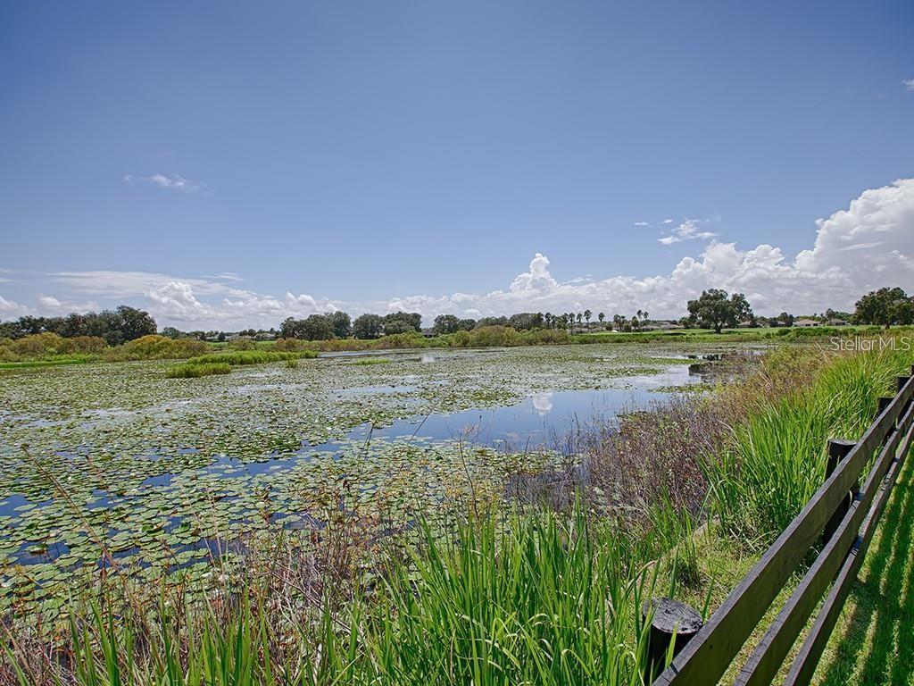 622 Maybank, The Villages, FL 32162