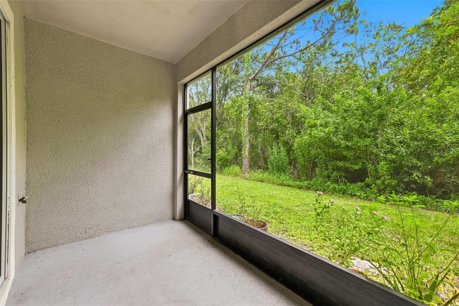 17871 Stella Moon, Lutz, FL 33558