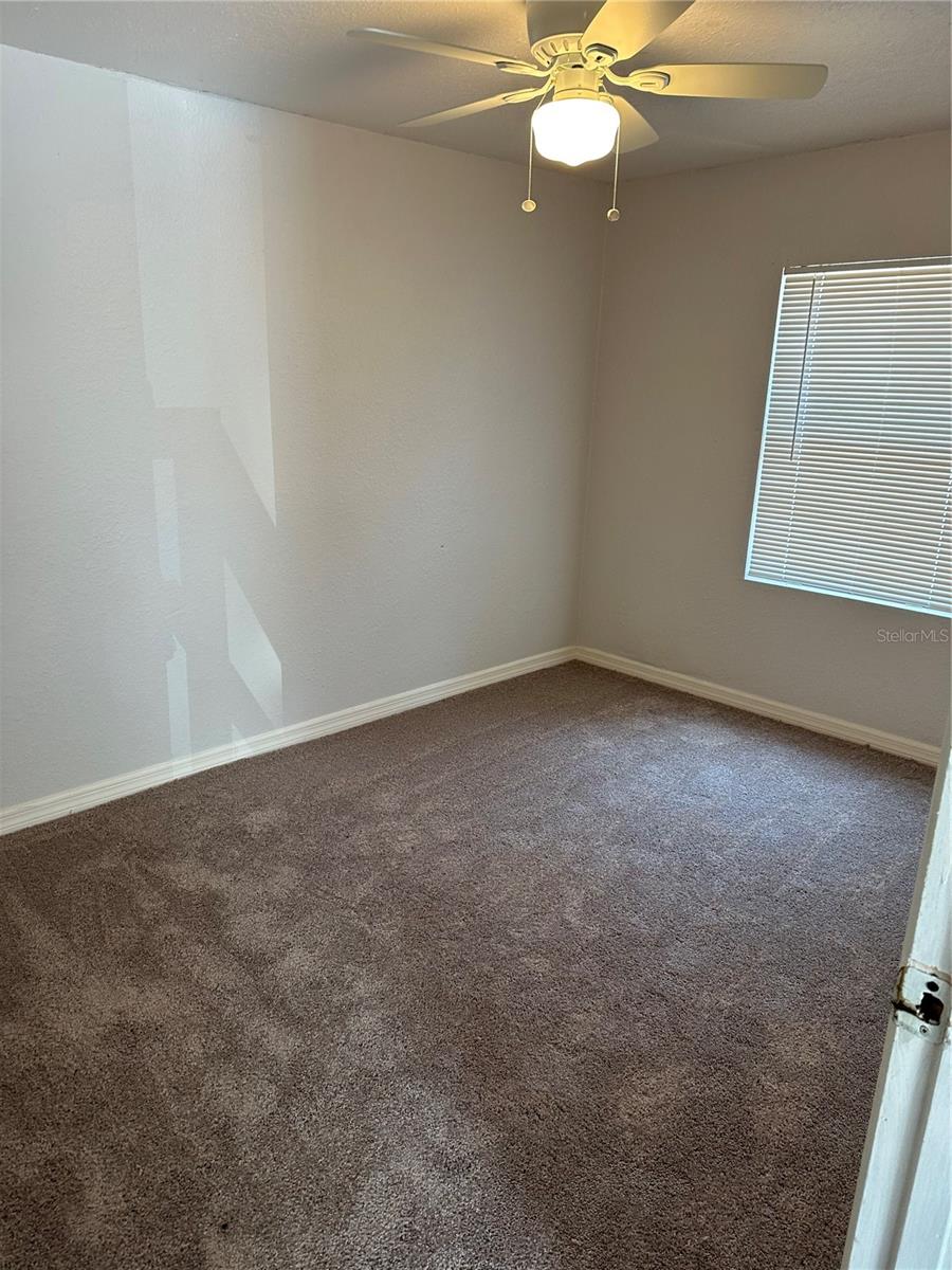 4214 Palifox, Tampa, FL 33610