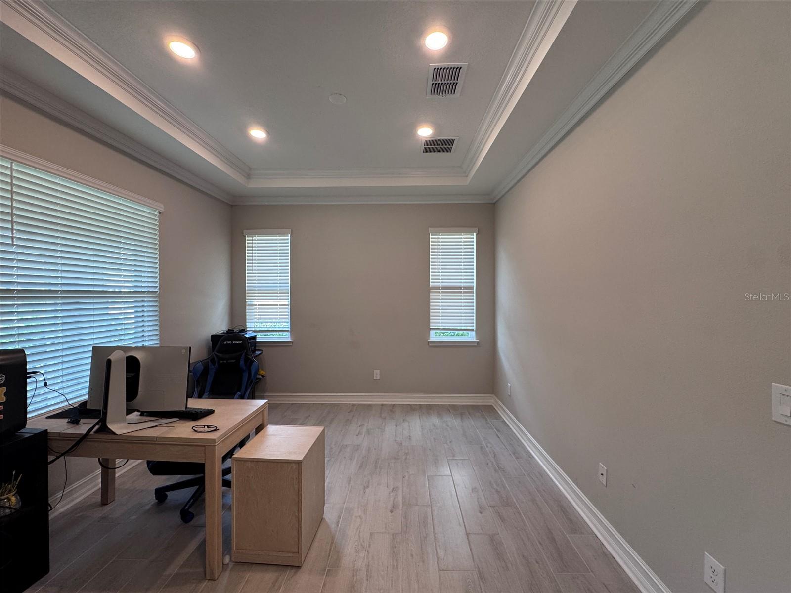 28661 Picana, Wesley Chapel, FL 33543