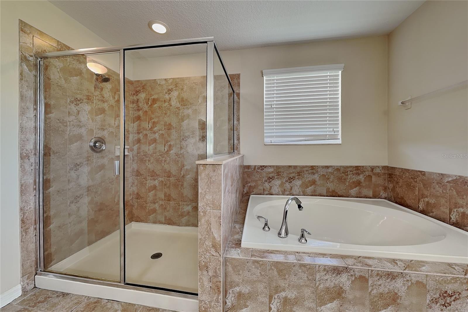 9609 Royal Fern, Tampa, FL 33647