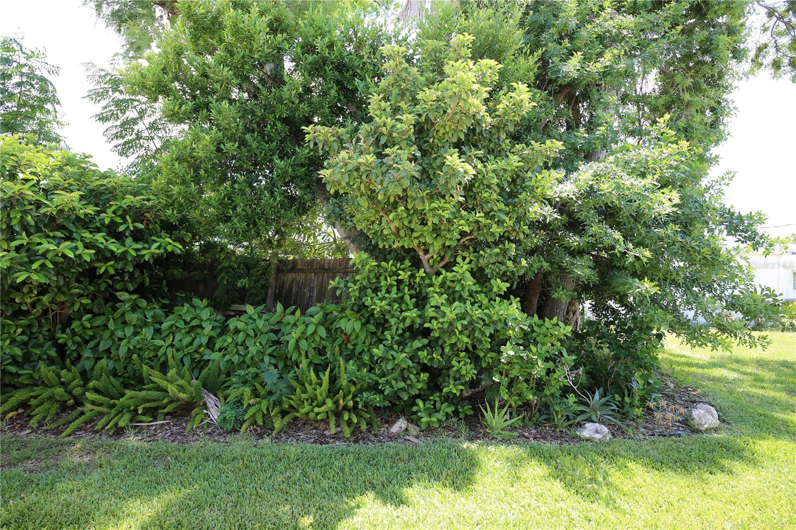 6105 Coral, Bradenton, FL 34207