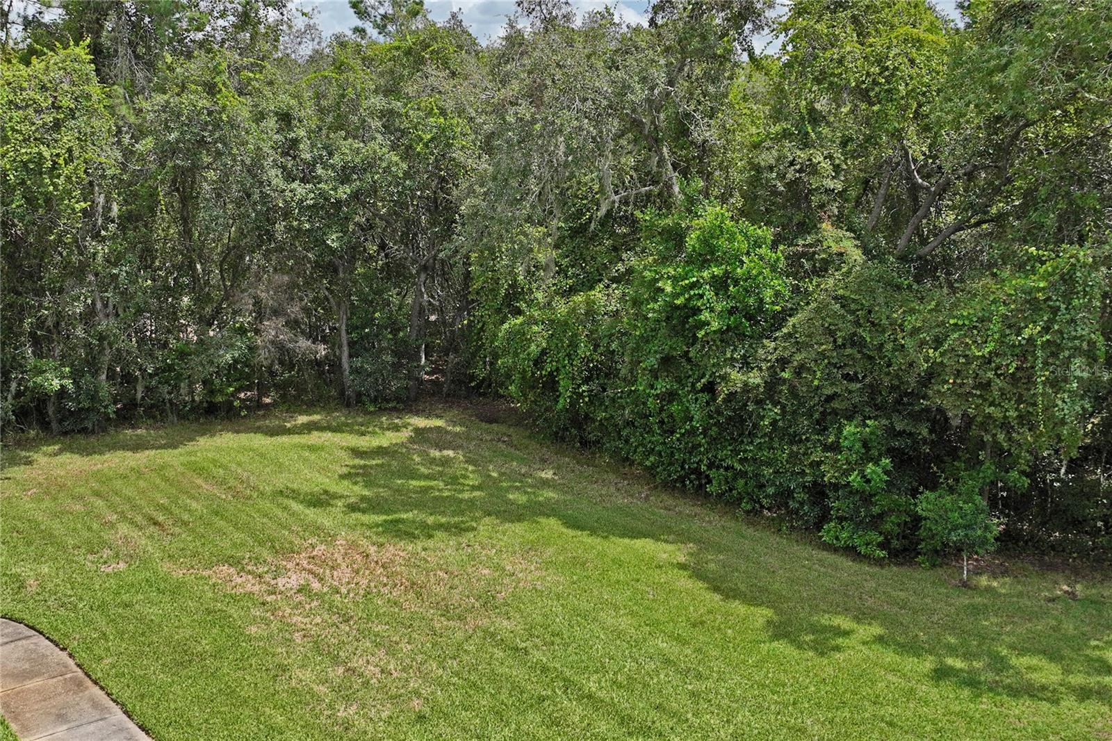 10447 Granning, New Port Richey, FL 34654