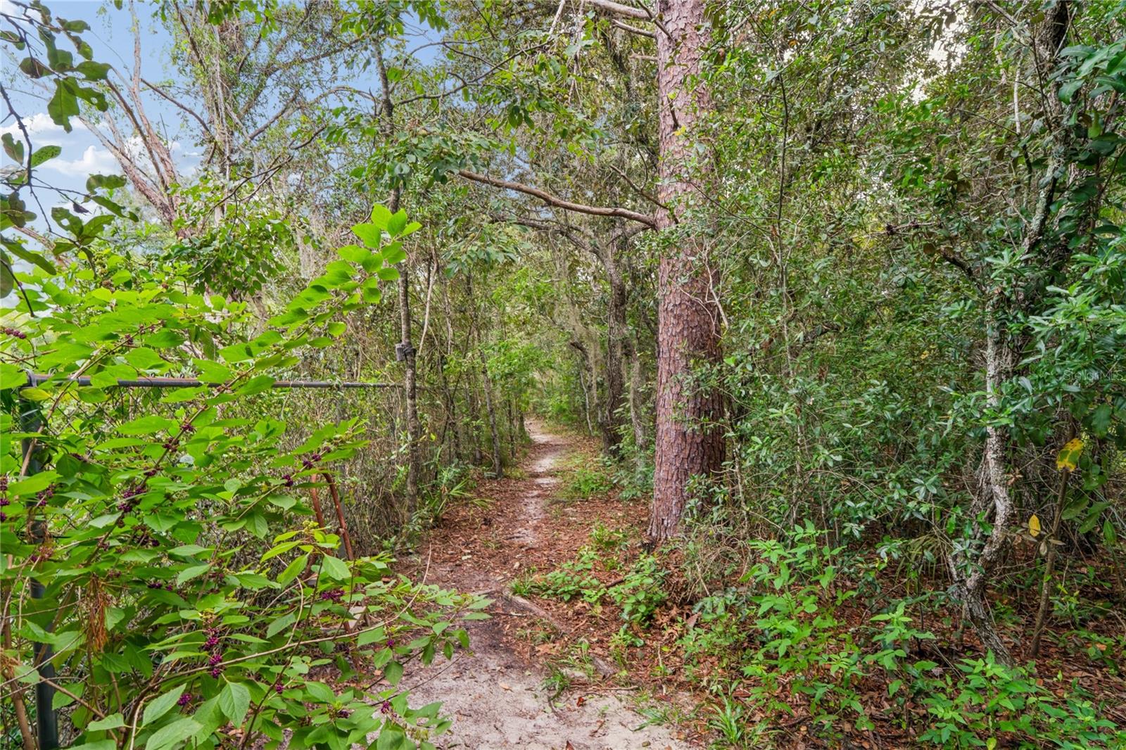 10447 Granning, New Port Richey, FL 34654