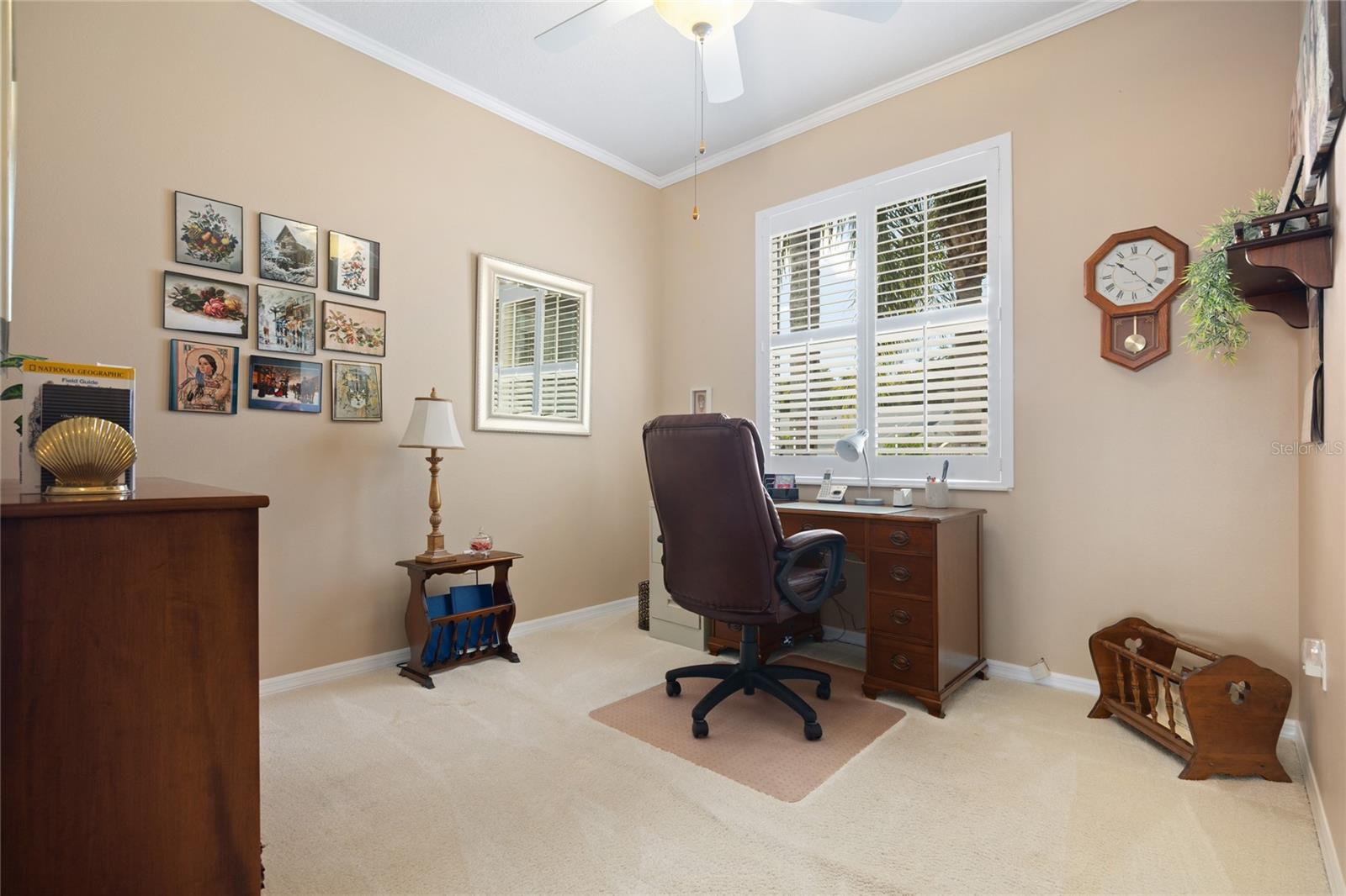 21143 Diamonte, Land O Lakes, FL 34637