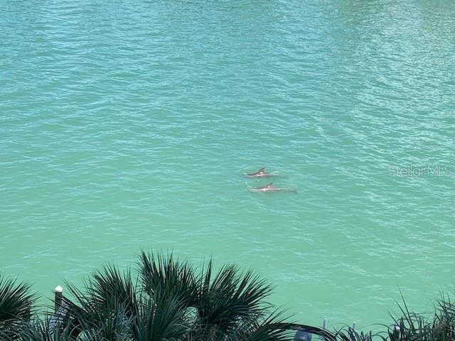 9495 Blind Pass Unit 504, St Pete Beach, FL 33706
