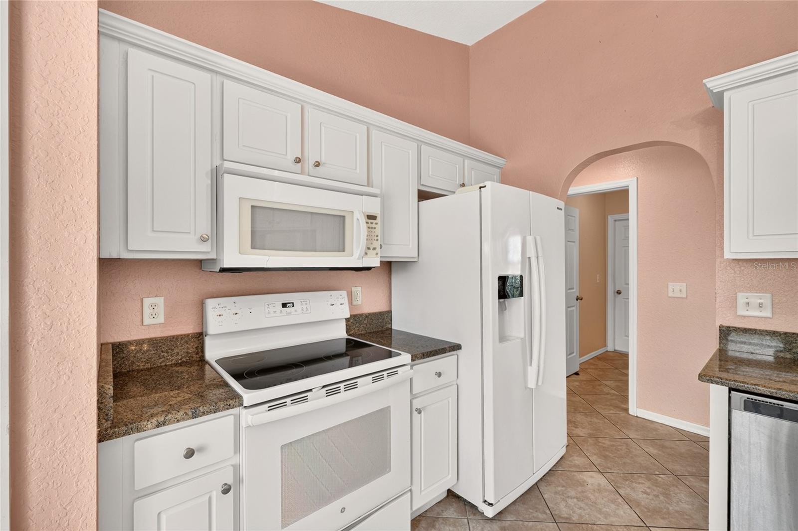 17461 110th, Summerfield, FL 34491