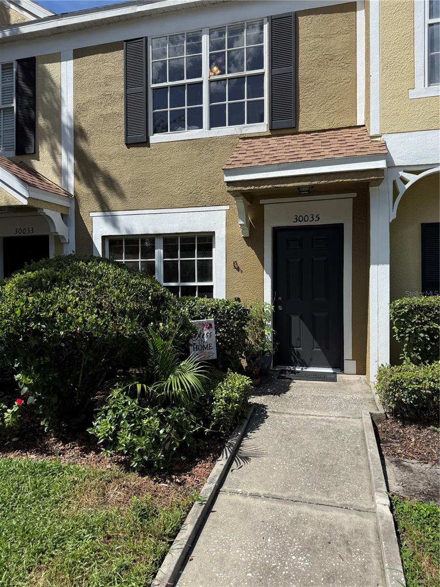 30035 Granda Hills, Wesley Chapel, FL 33543