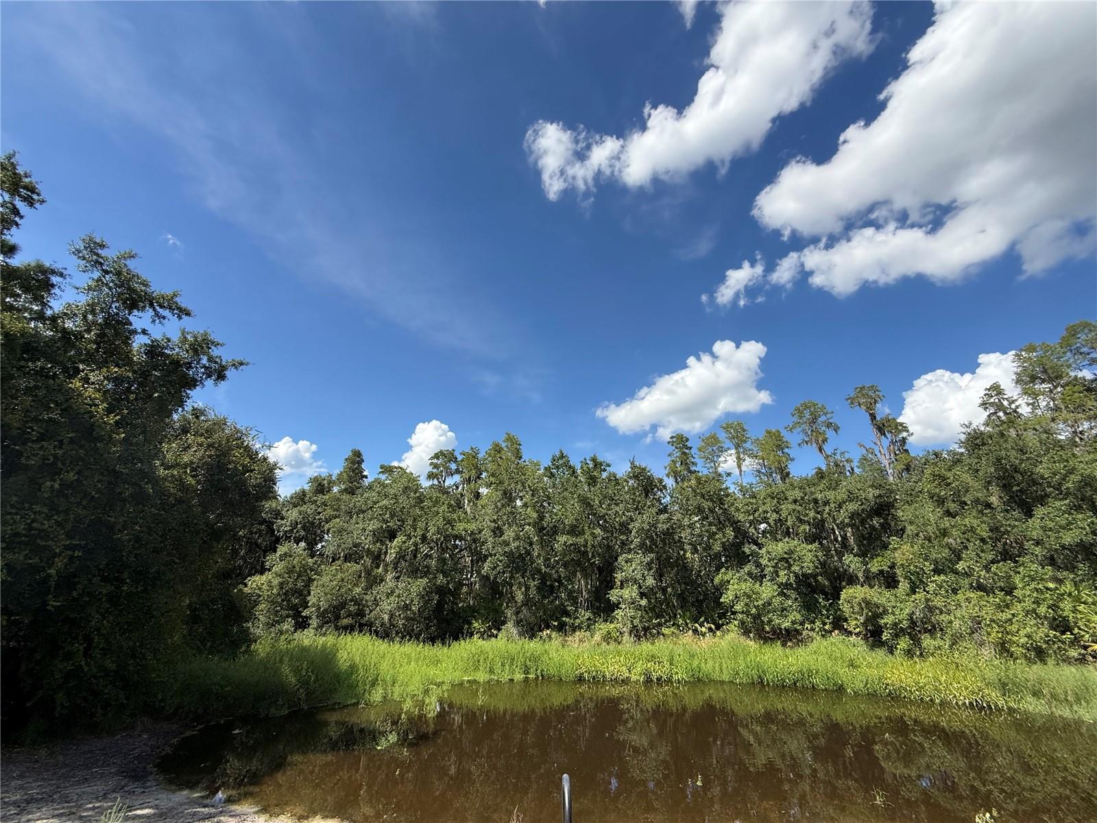 30035 Granda Hills, Wesley Chapel, FL 33543