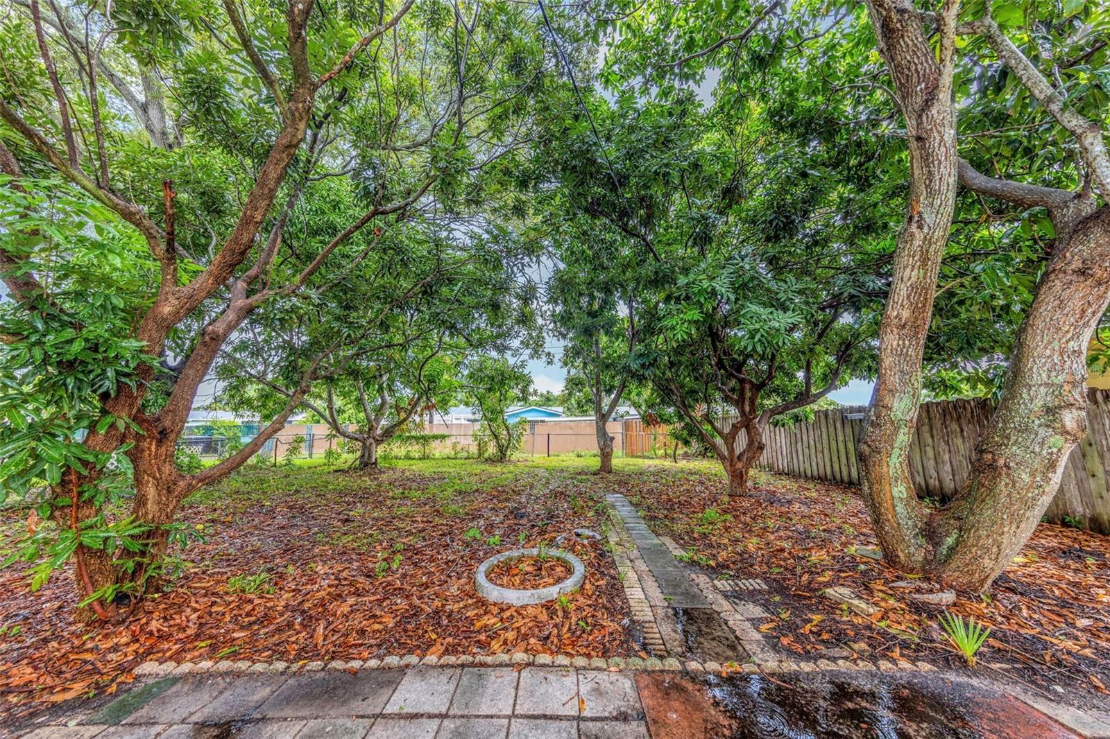 5621 11th, St Petersburg, FL 33710