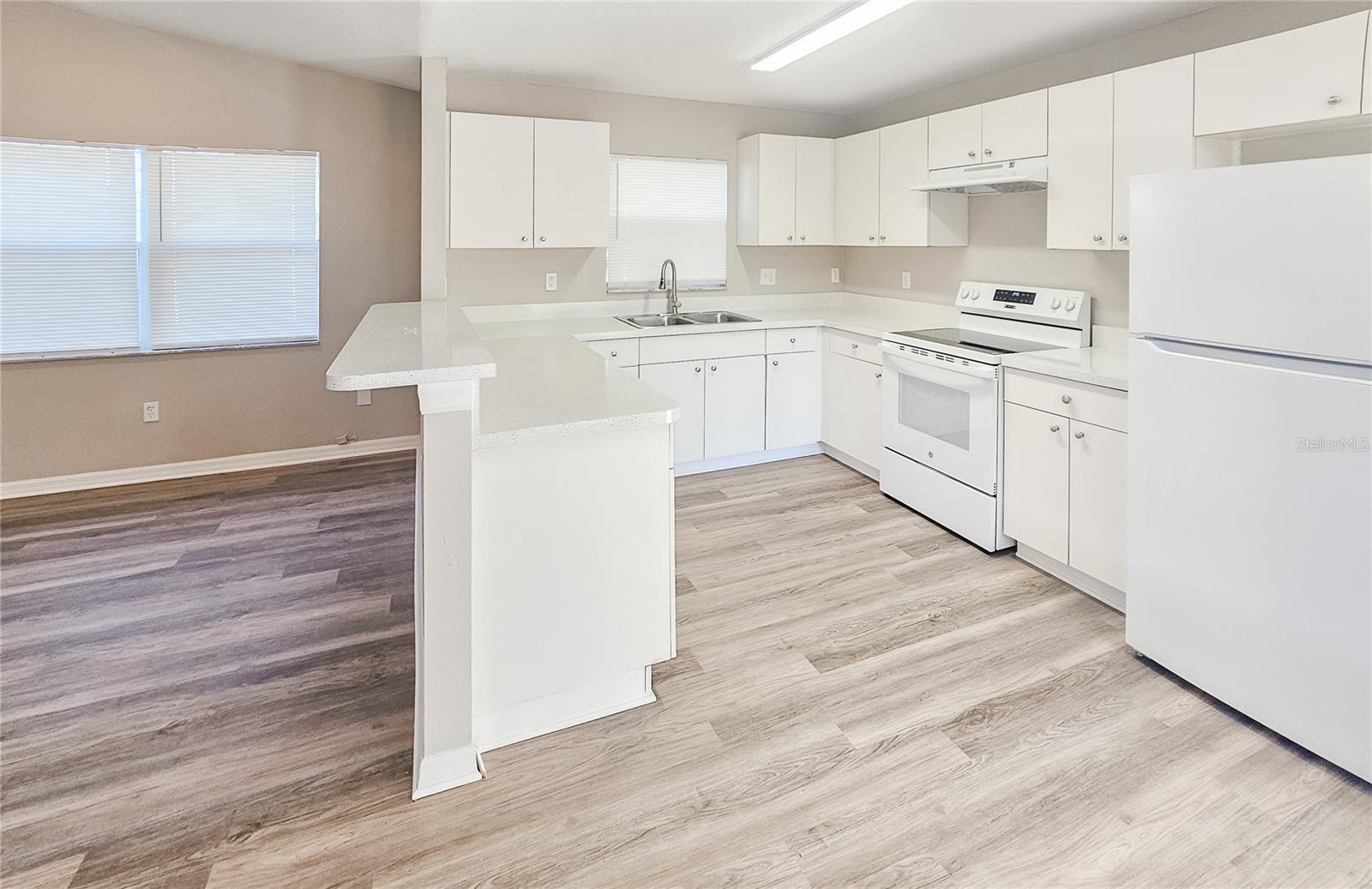 1013 Eskimo, Tampa, FL 33604