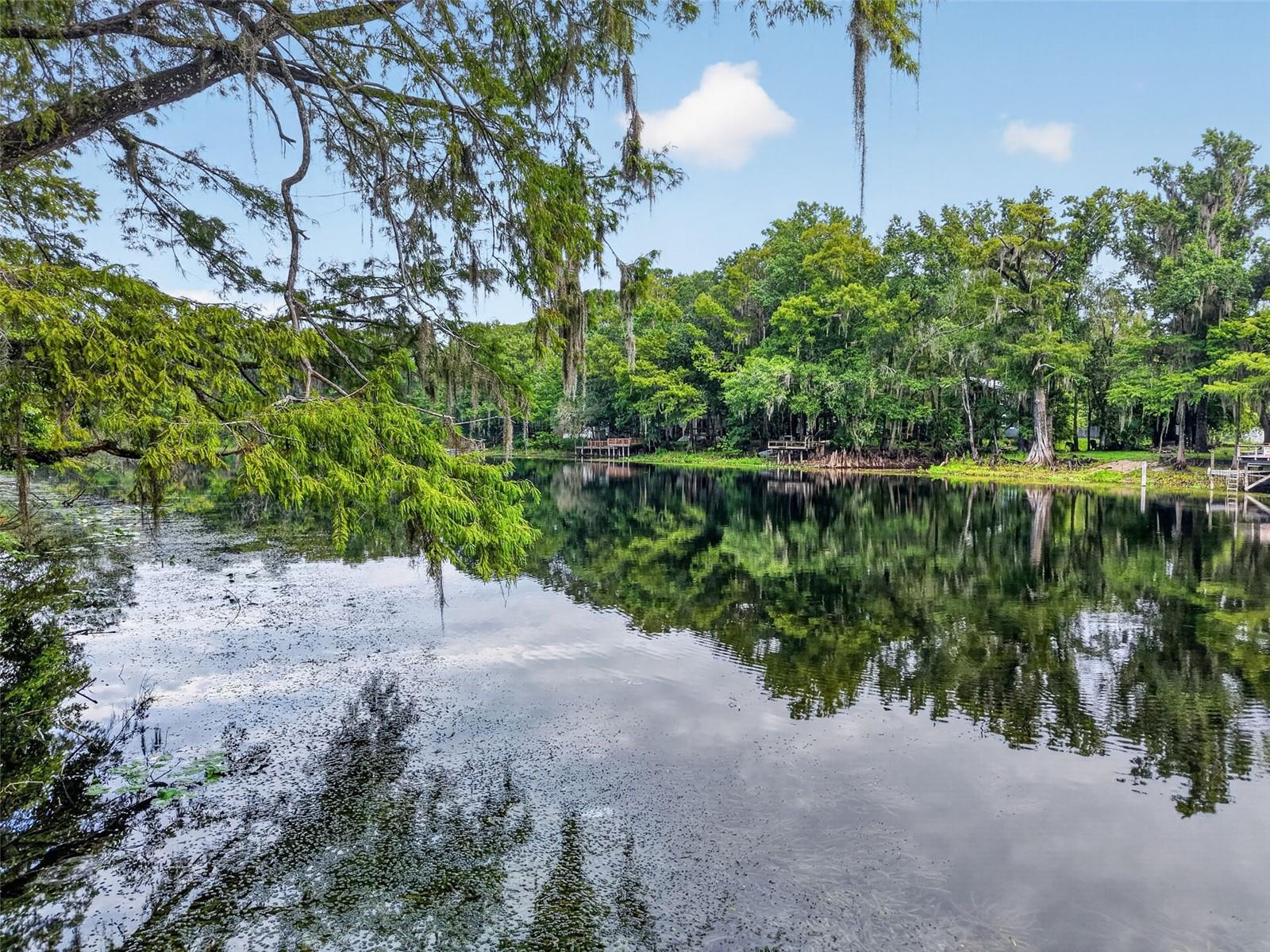 10388 64th, Bushnell, FL 33513