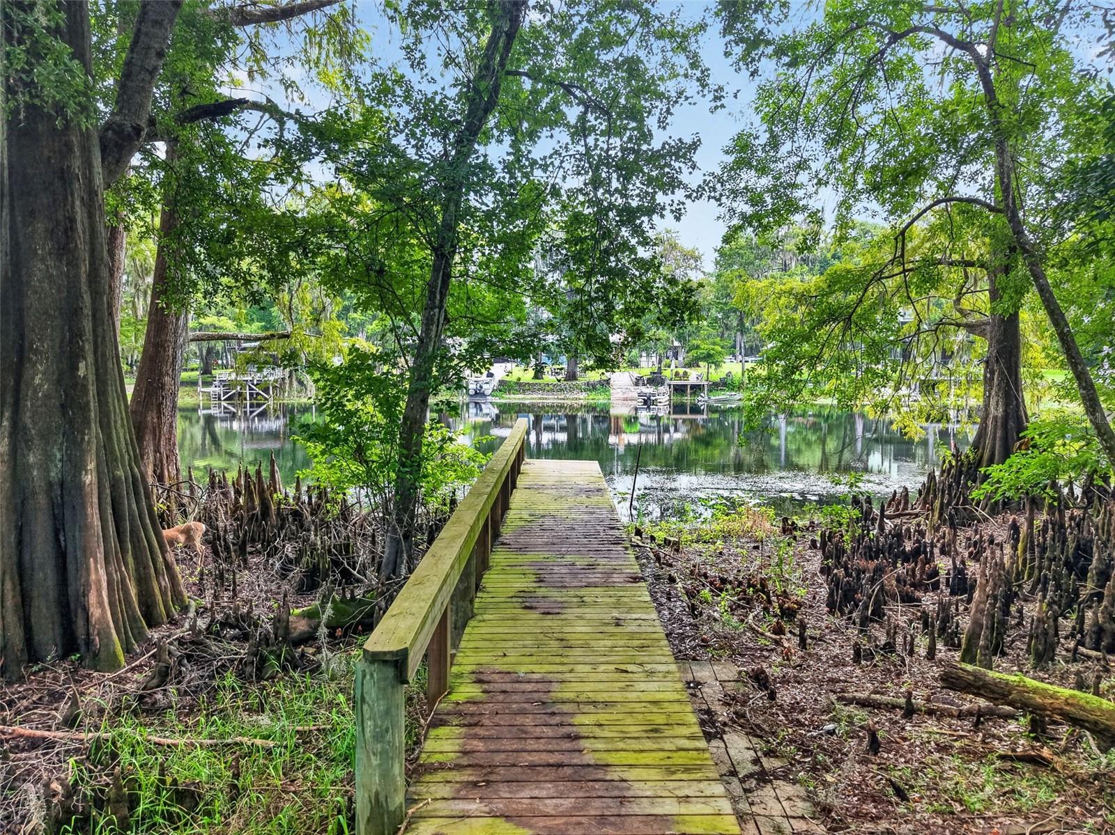 10388 64th, Bushnell, FL 33513