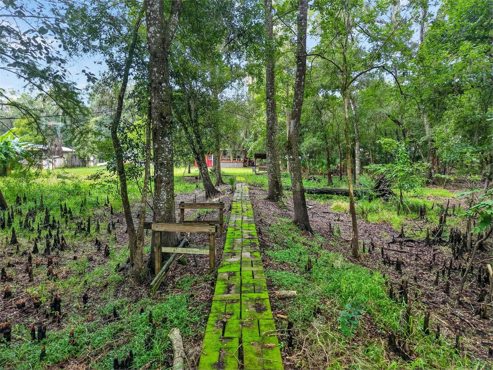 10388 64th, Bushnell, FL 33513