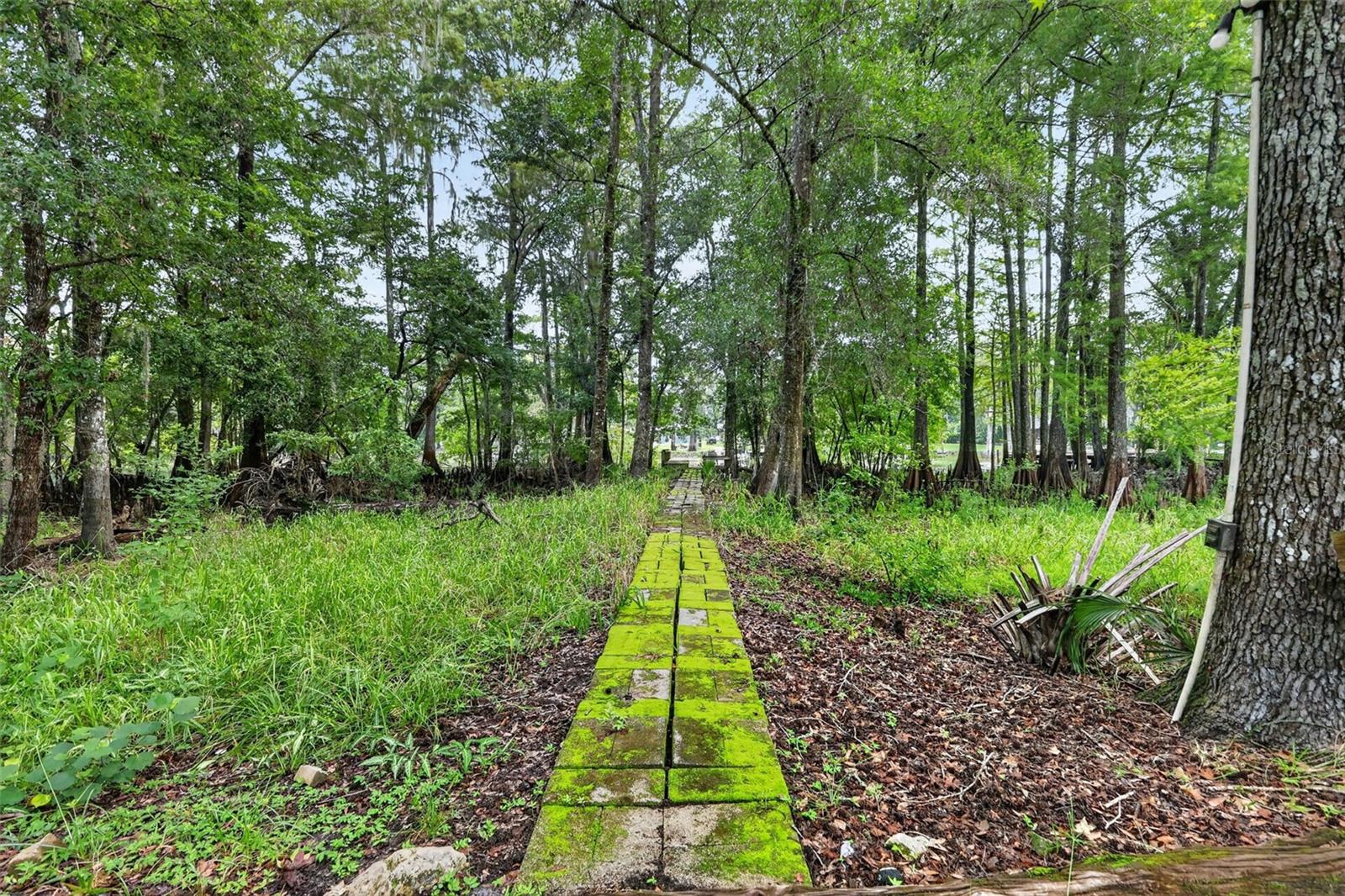 10388 64th, Bushnell, FL 33513