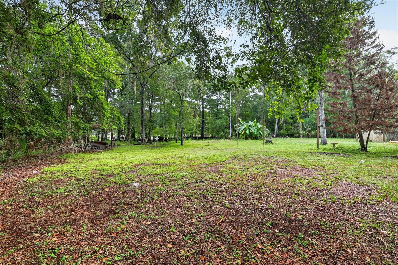 10388 64th, Bushnell, FL 33513