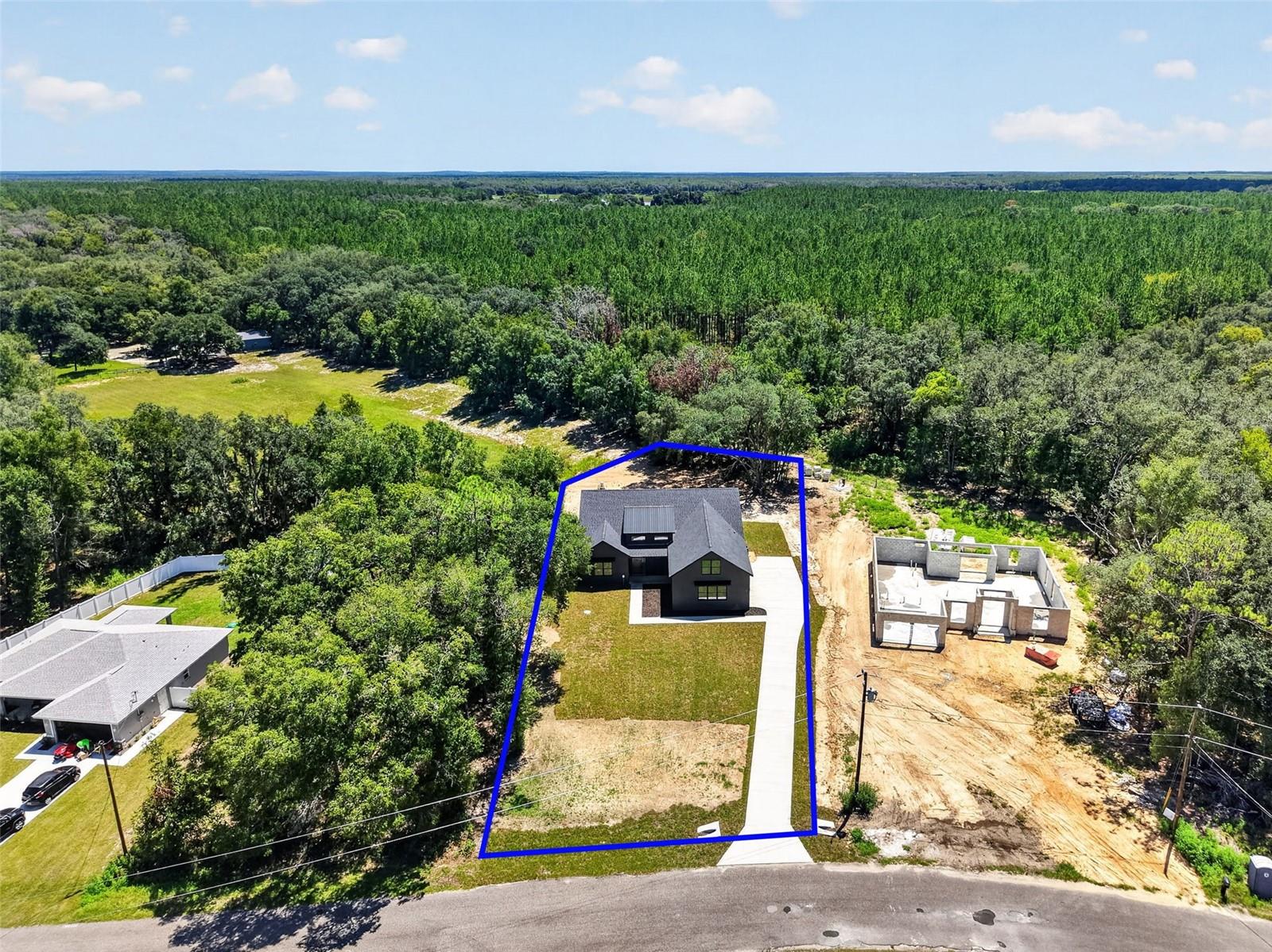 60 Guava, Ocklawaha, FL 32179