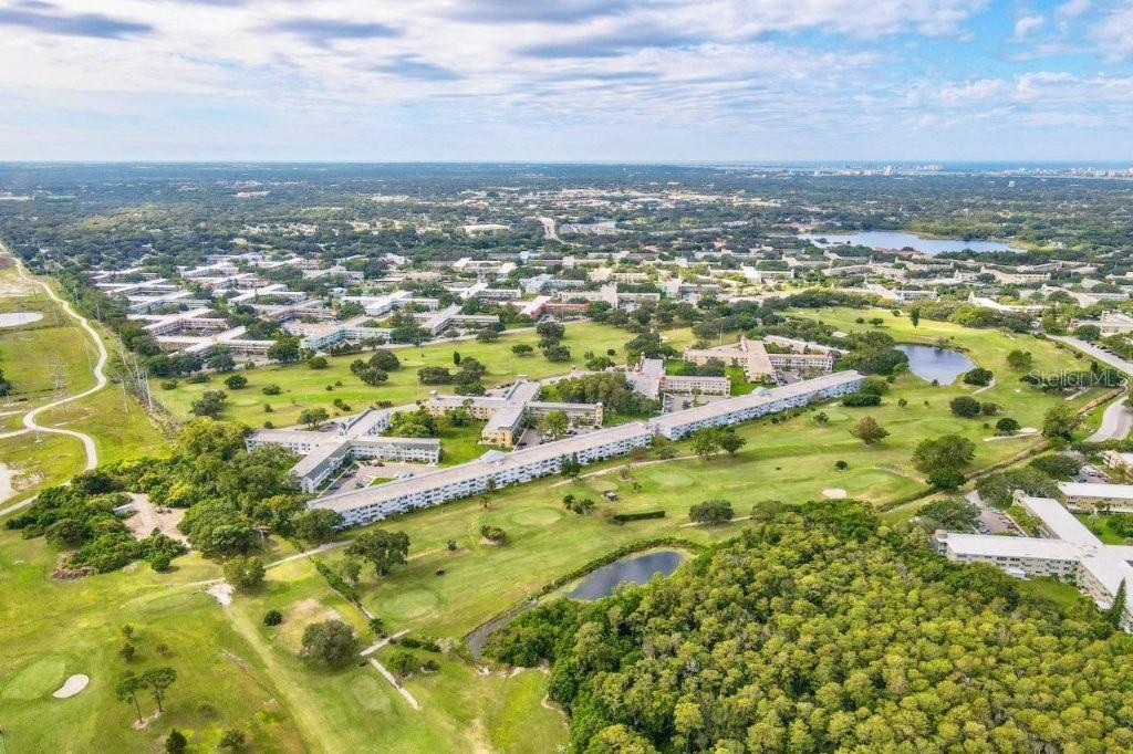 2457 Ecuadorian Unit 41, Clearwater, FL 33763