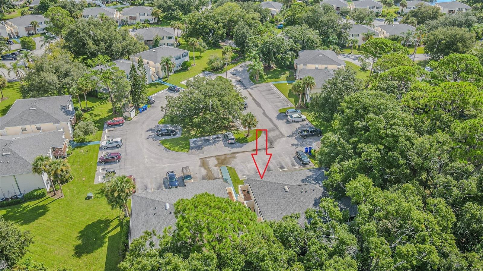 133 Sabal Unit F, Oldsmar, FL 34677