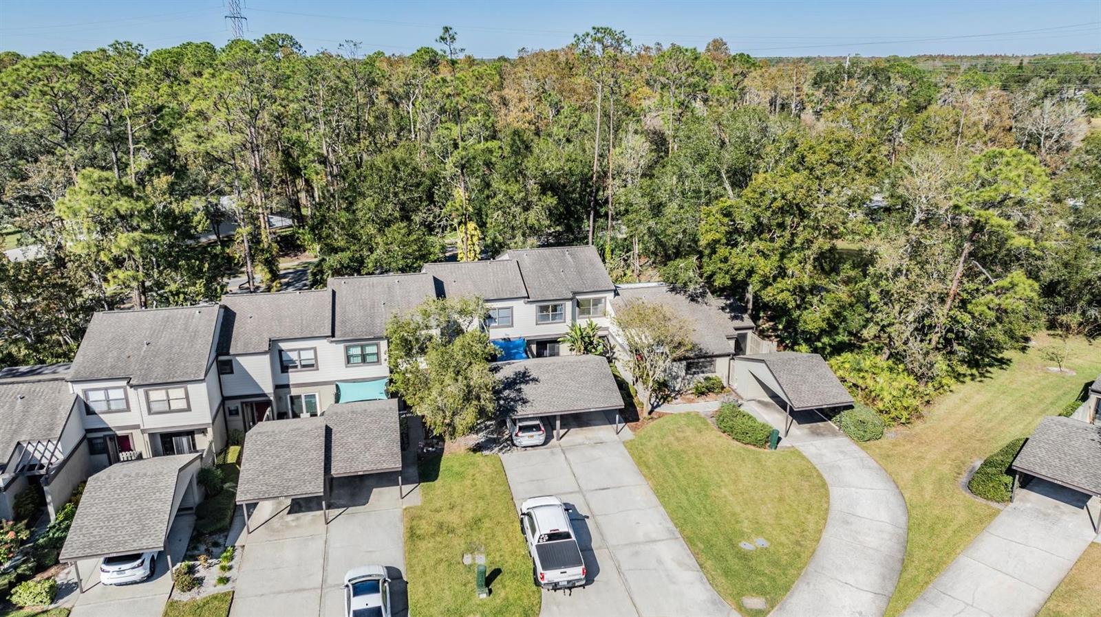 215 Woods Landing, Oldsmar, FL 34677