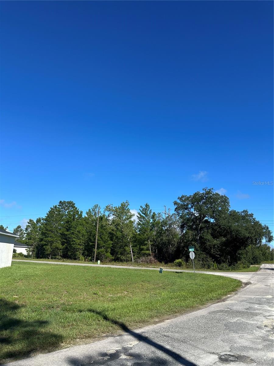 14 Fisher, Ocklawaha, FL 32179