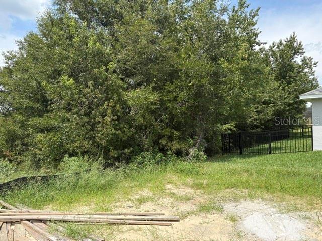 6734 179th Avenue, Dunnellon, FL 34432