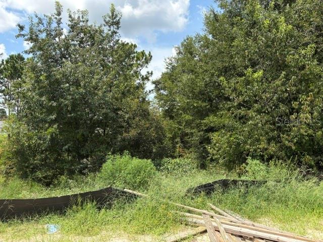 6734 179th Avenue, Dunnellon, FL 34432
