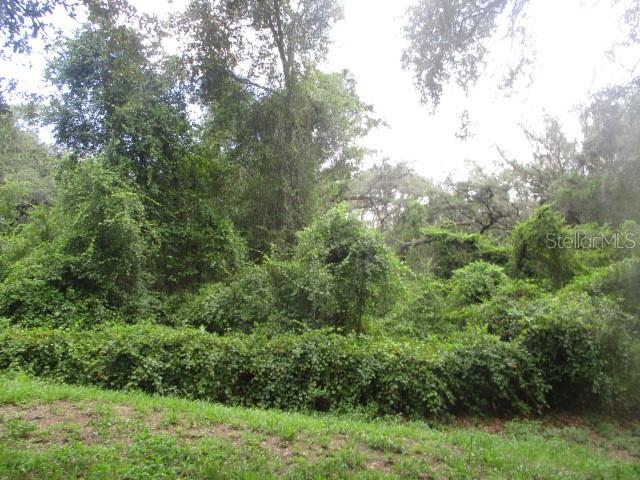 35236 Reynolds, Dade City, FL 33523