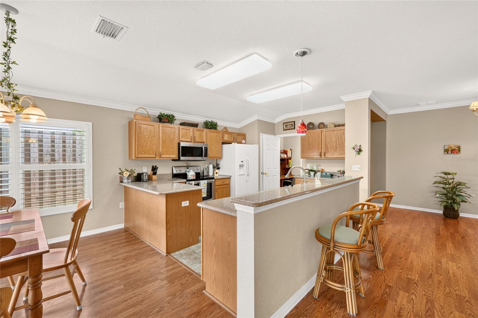 13996 94th, Summerfield, FL 34491