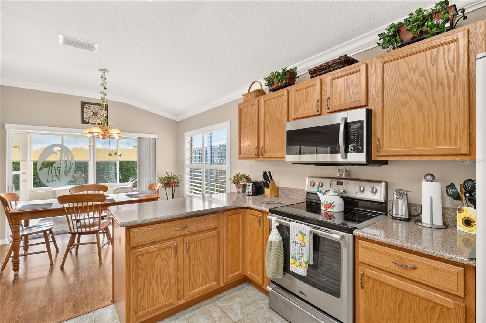 13996 94th, Summerfield, FL 34491