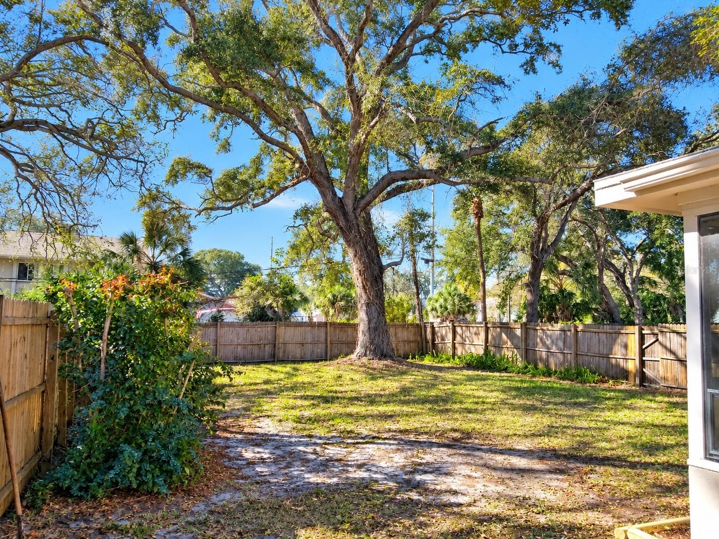 446 New York, Dunedin, FL 34698
