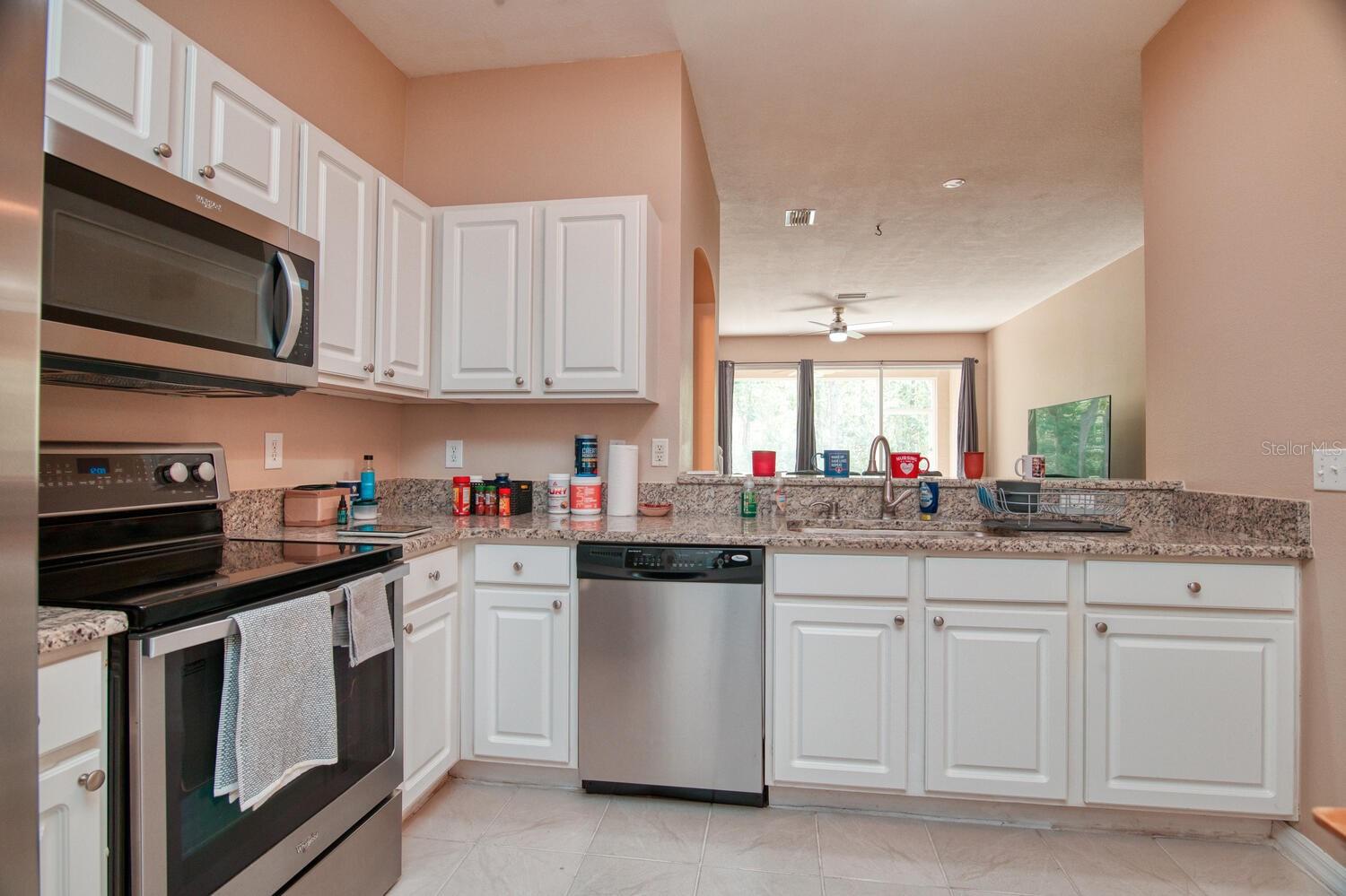 11092 Windsor Place, Tampa, FL 33626