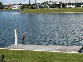 1804 Bunker Hill, Sun City Center, FL 33573