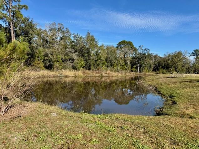 8074 Timberwood, Orlando, FL 32825