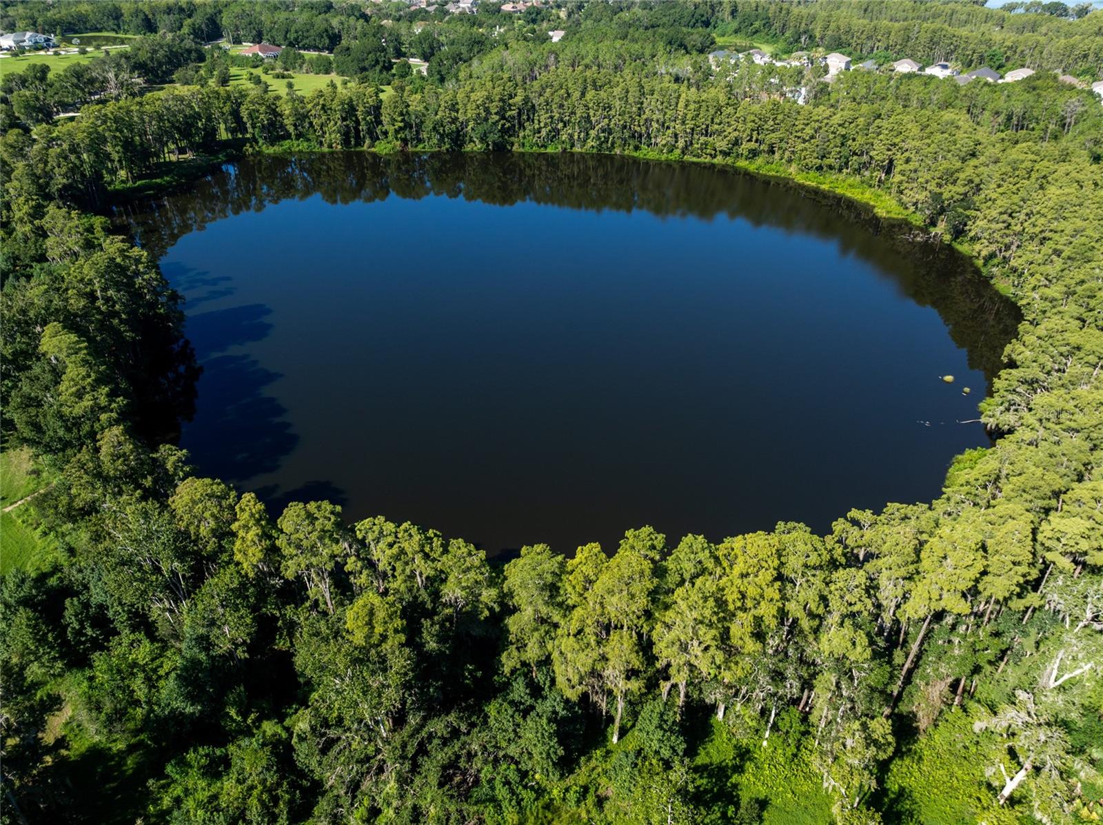 5135 Collier, Land O Lakes, FL 34639