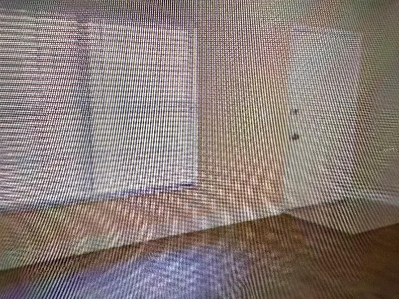 21038 Voyager Unit 4, Land O Lakes, FL 34638