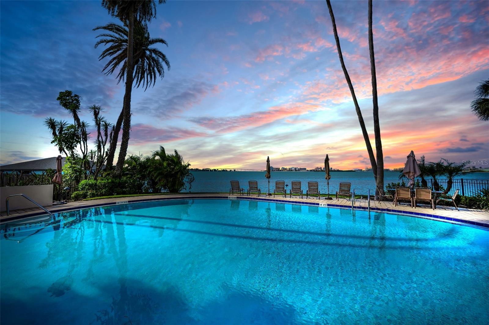 55 Rogers Unit 204, Clearwater, FL 33756