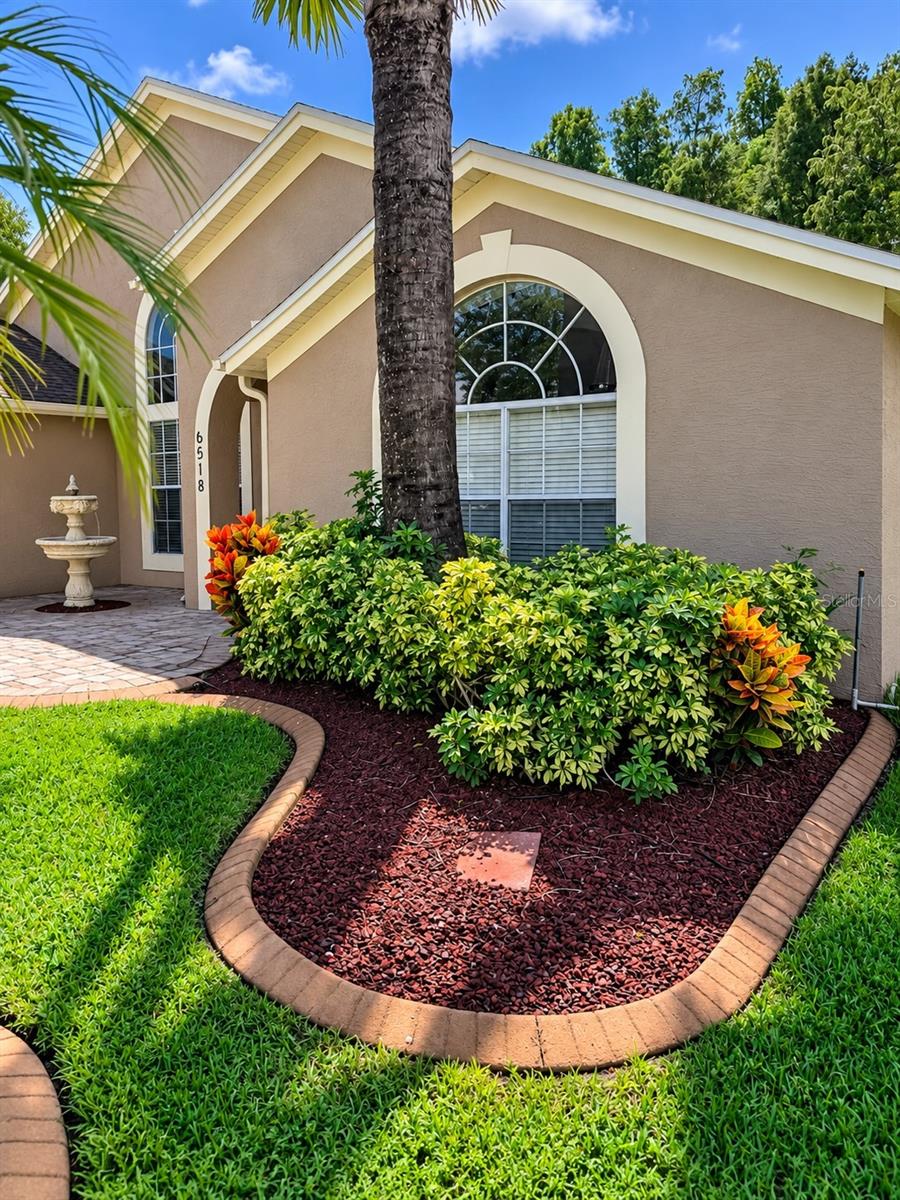 6518 Appaloosa, Tampa, FL 33625