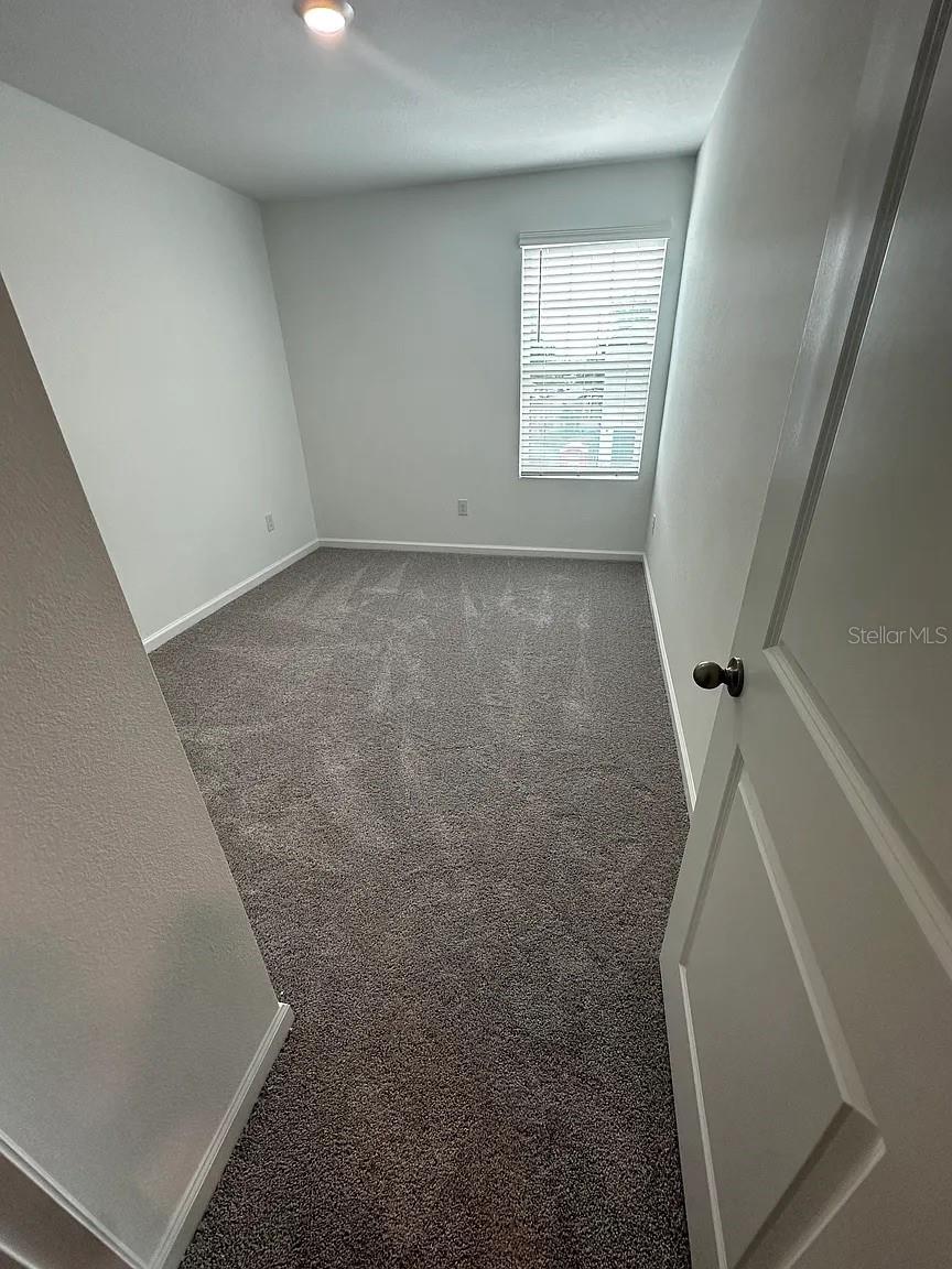 6167 Pina Colada, Zephyrhills, FL 33542